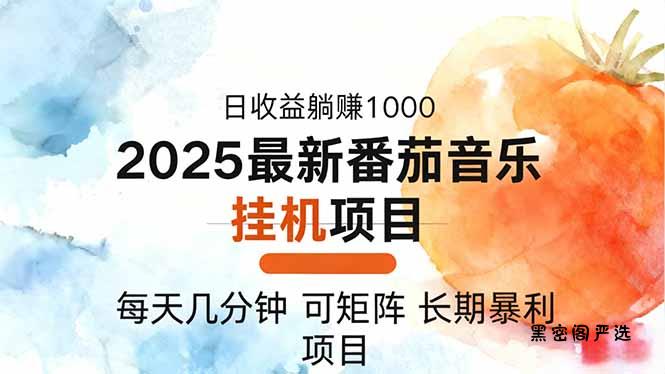 2025年最新番茄音乐人挂机项目，每天几分钟，月入1000＋，可矩阵，一台...-HeiMiGe