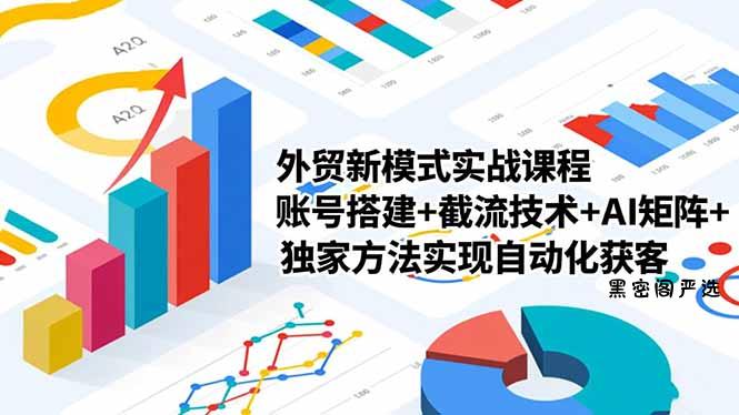 外贸新模式实战课程，账号搭建+截流技术+AI矩阵+独家方法实现自动化获客-HeiMiGe