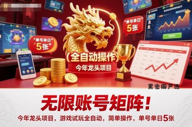 无限账号矩阵！今年龙头项目，游戏试玩全自动，简单操作，单号单日5张【揭秘】-HeiMiGe