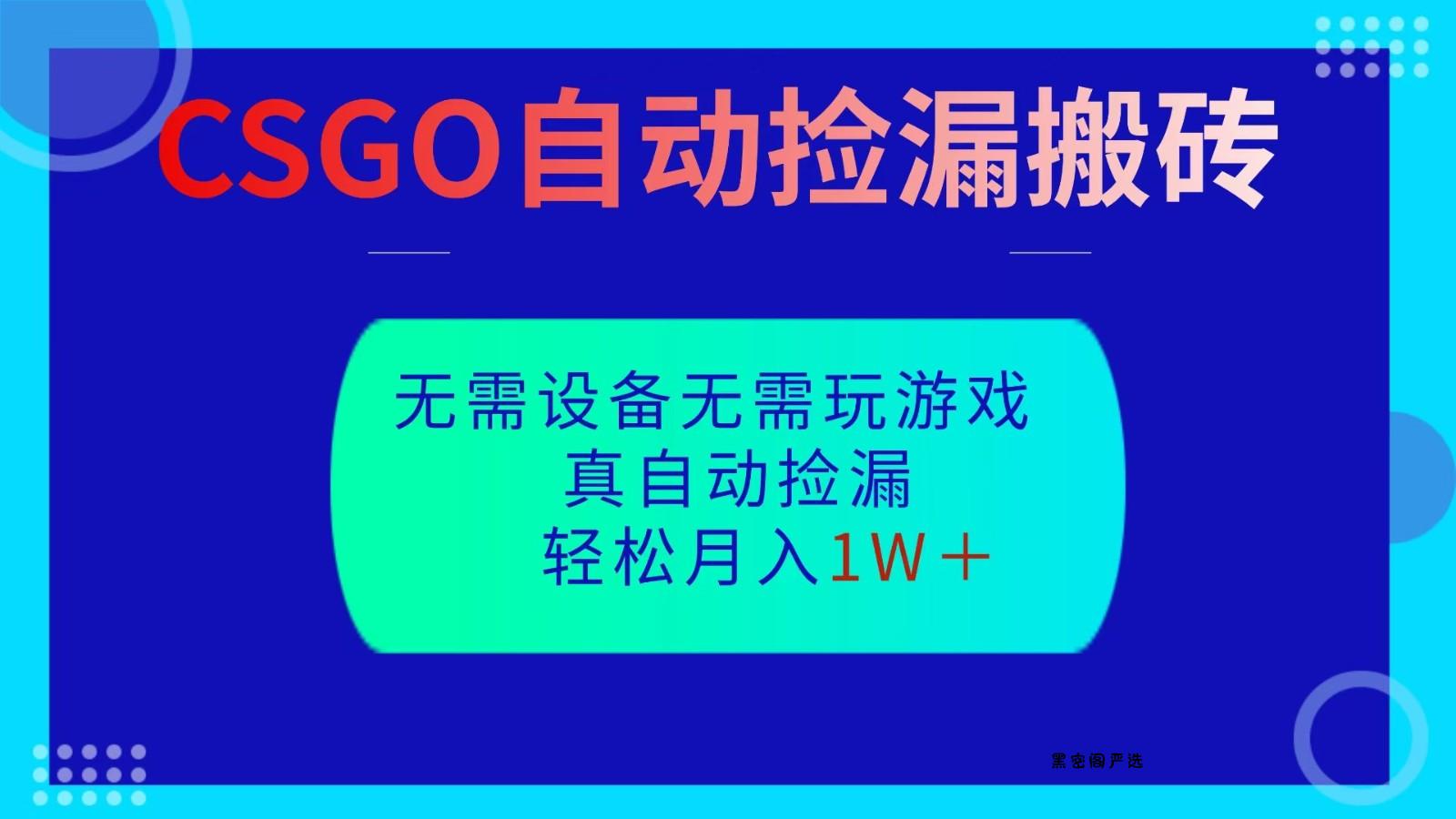 CSGO自动捡漏搬砖，当天操作当天见结果，无需了解游戏，包教包会包落地-HeiMiGe