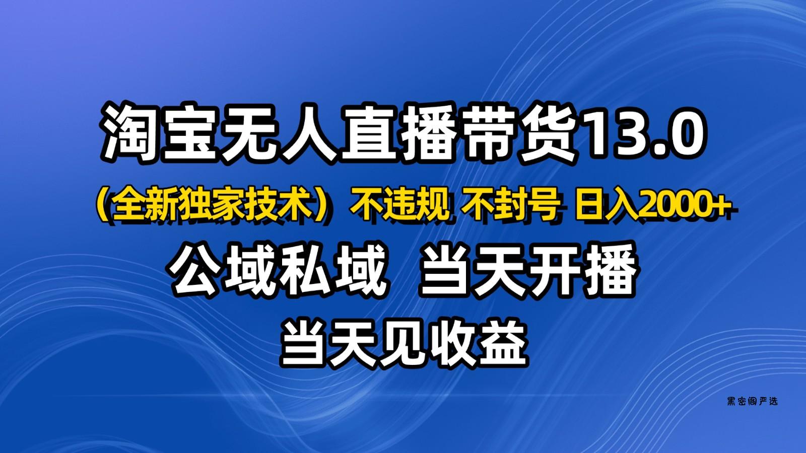 淘宝无人直播13.0，公域私域技术，不封号，不违规 布局下半年旺季赛道，日入2000+-HeiMiGe
