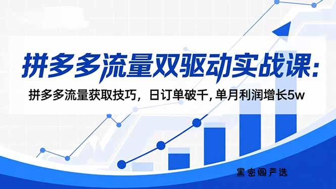 拼多多流量双驱动实战课：拼多多流量获取技巧，日订单破千,单月利润增长5w-HeiMiGe