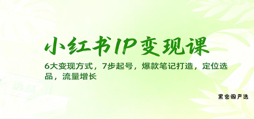 小红书IP变现课：6大变现方式，7步起号，爆款笔记打造，定位选品，流量增长-HeiMiGe