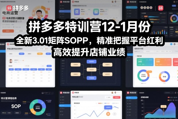 拼多多特训营12-1月份，全新3.01矩阵Sop，精准把握平台红利，高效提升店铺业绩-黑密阁